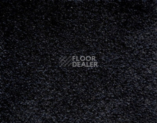 Ковролин Radici Lord Onice 249B фото 1 | FLOORDEALER